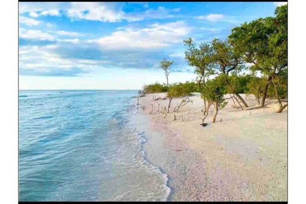 Honeymoon Island