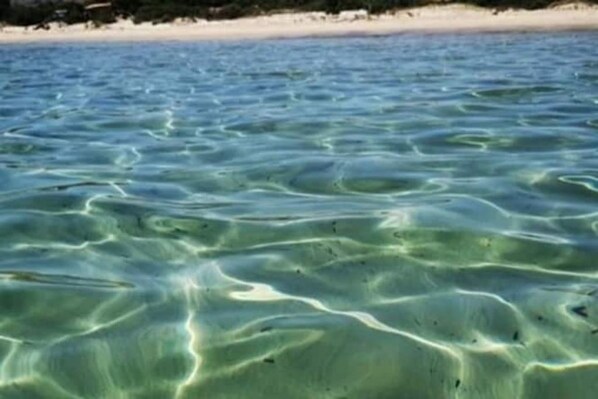 Playa