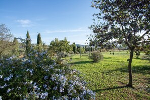 Terrenos do alojamento