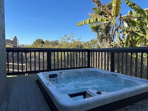 Enjoy the New Private Jacuzzi on the Backyard Deck!