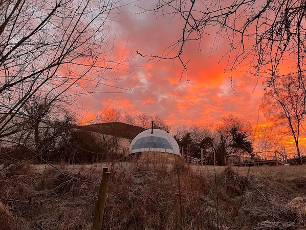 A frosty morning on the farm