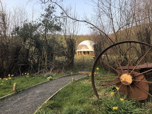 Set in its own surroundings the dome is accessed via a wild flower meadow