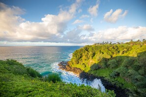 View from lanai lawn