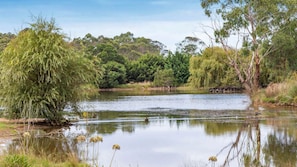 Take in the landscape of both lakes and swans with your family and friends