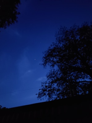 I can hear the crickets and see lightning bugs when I look at this photo Pa Wild