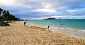Take a leisurely walk on the the beach, just steps away from the cottage