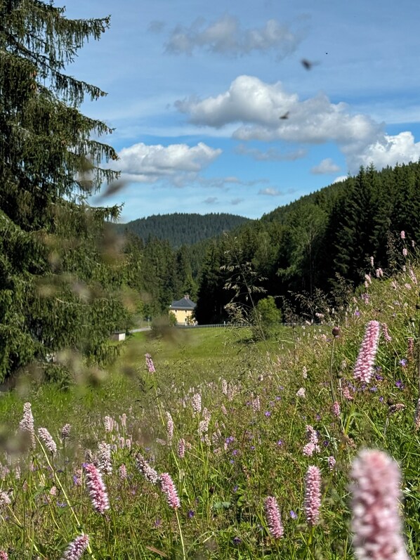 Boendeområde