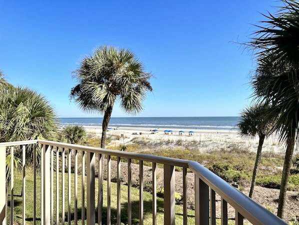 View from Patio