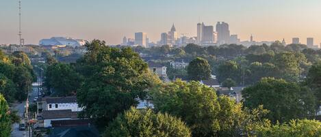 Downtown from above the house