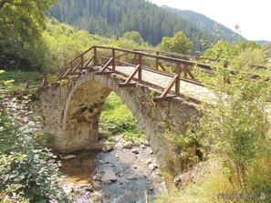 Terrain de l’hébergement 