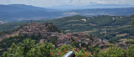 Vista dalla struttura