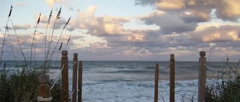 Vue sur la plage/l’océan