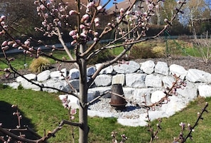 Boendeområde