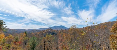 Grandfather Mountain View 