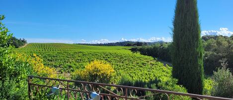 Vista dalla struttura