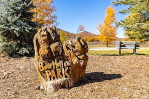 Bear Hollow Community Amenities