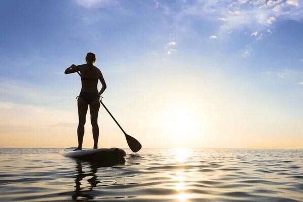 Want to have some fun and explore the water?  Take out our paddle boards to check out the beauty that Indian Rocks Beach has to offer.  You will love the fresh air and the exercise- right from the backyard!