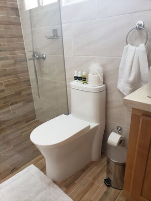 Master room bathroom