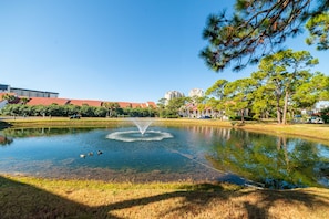 The pond view from the great room, main bedroom and main patio will amaze you.