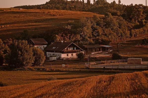 Extérieur