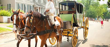 Carriage rides are popular but BOOK EARLY (same day) as reservations go fast!