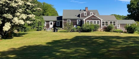 Property grounds (back yard)