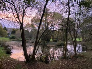 The island in the little lake at dusk. 