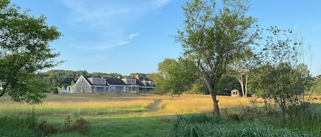 Back yard seen from the stream and pond
