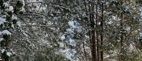 Skidåkning och snöaktiviteter