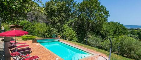 Plant, Water, Sky, Swimming Pool, Azure, Tree, Shade, Outdoor Furniture, Rectangle, Grass