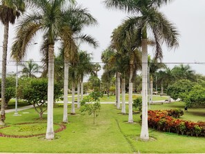 Property grounds