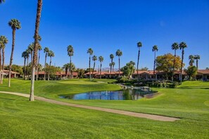 view from patio