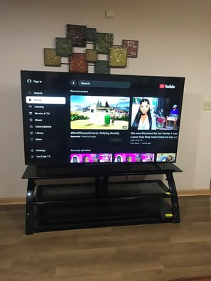 Fernseher