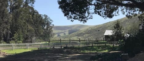 Explore 34 gently sloping acres, and view Morro Rock at the top of the ridge.