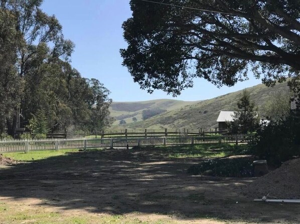 Explore 34 gently sloping acres, and view Morro Rock at the top of the ridge.