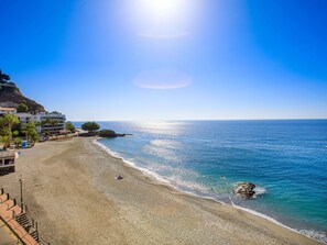 Wasser, Himmel, Pflanze, Strand, Sonnenlicht, Baum, Landschaft, Holz, Horizont