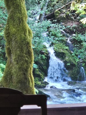Your view of the Cascade River outside all the cabin windows. 