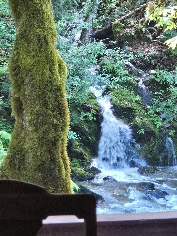 Your view of the Cascade River outside all the cabin windows. 