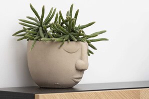 A decorative pot with a succulent plant placed on a wooden table.
