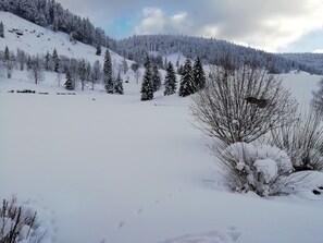 Wintersport/Ski