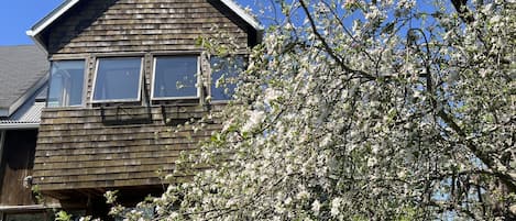 The floating two story private addition extends into the apple trees.