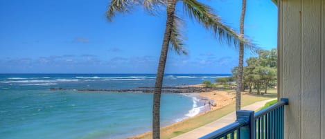 Breathtaking Oceanfront Views