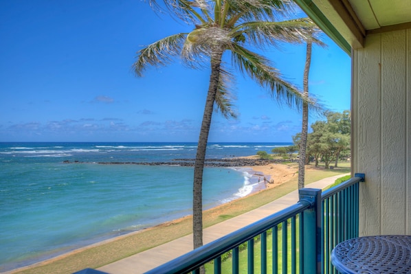 Breathtaking Oceanfront Views