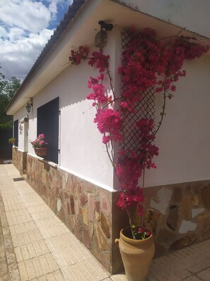 Exterior detail