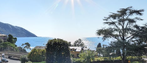 Vue sur la plage ou l’océan