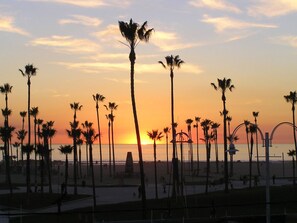 Venice Beach