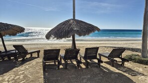 Palapa by the beach