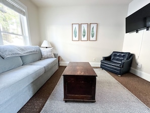 Living Room with New Queen Sleeper Sofa and ROKU TV