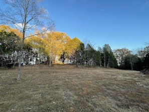 Views across farm