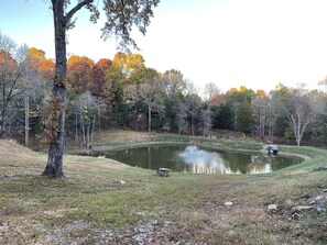 1 Acre Stocked Fishing Pond behind Cabin